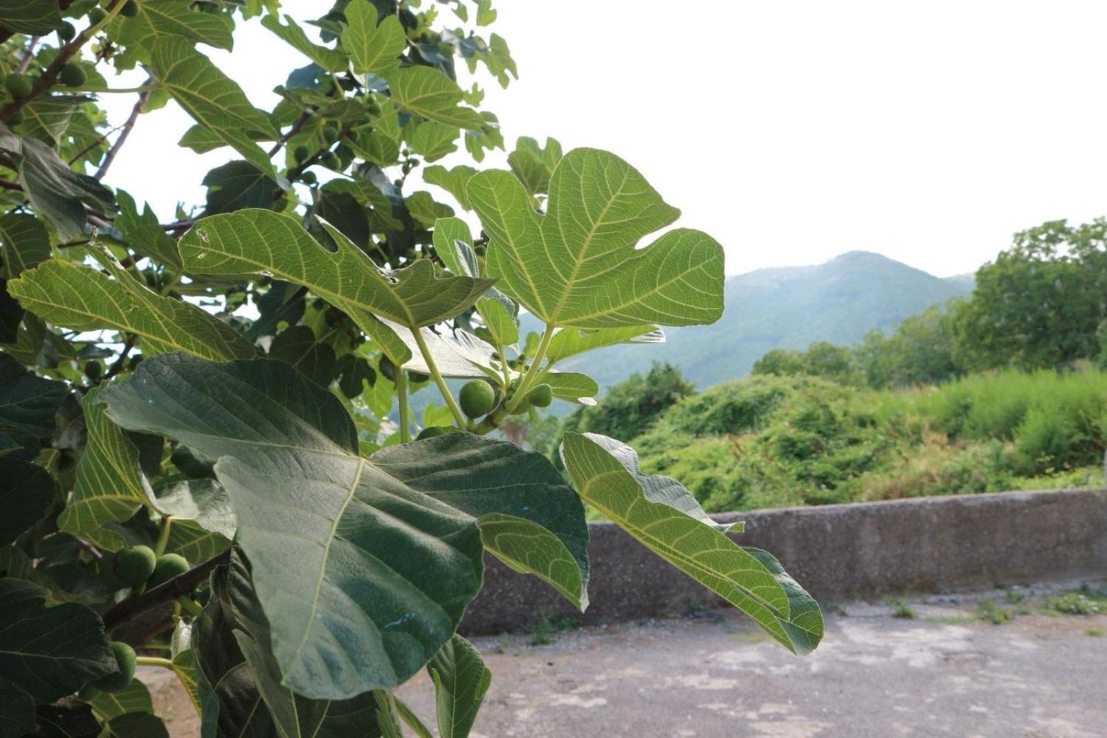 Il Balcone delle Dee Villa Agerola Buitenkant foto