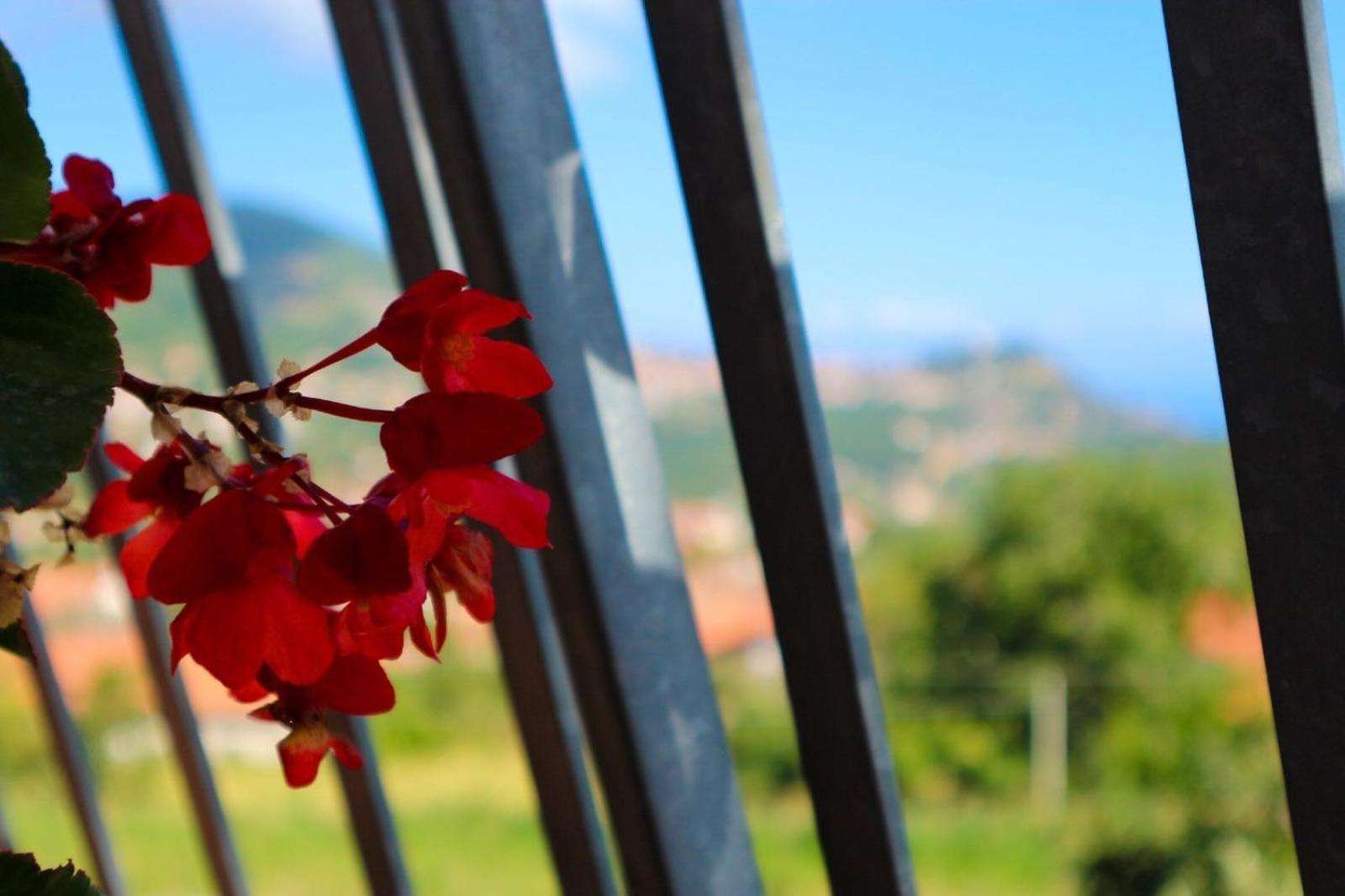 Il Balcone delle Dee Villa Agerola Buitenkant foto